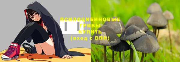 наркотики Алексин