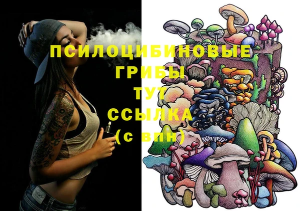 ALPHA PVP Алексеевка